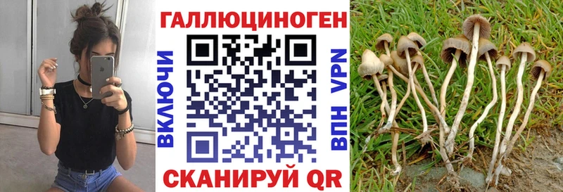 OMG ТОР  Кодинск  Галлюциногенные грибы MAGIC MUSHROOMS 